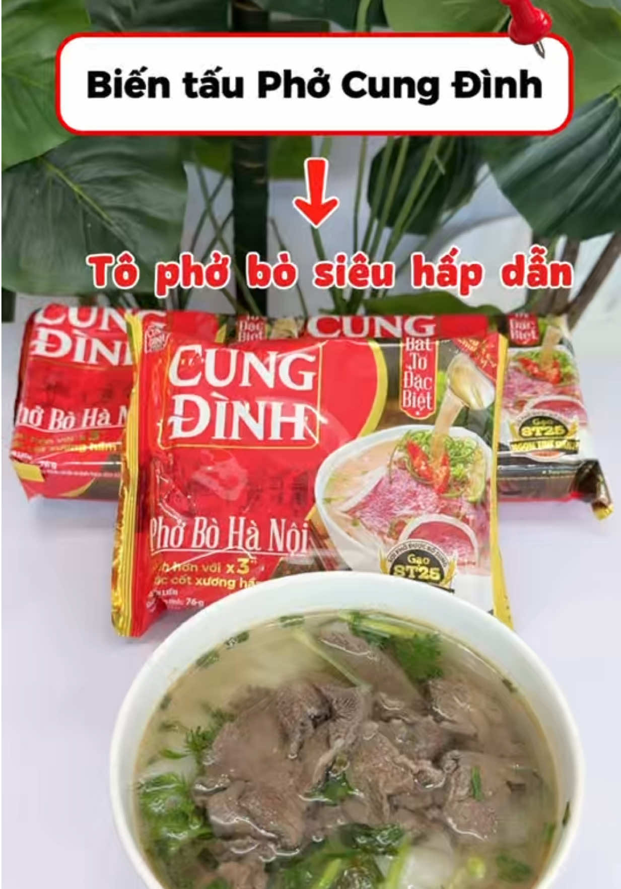 @Gia Đ&igrave;nh M&egrave;o M&aacute;y