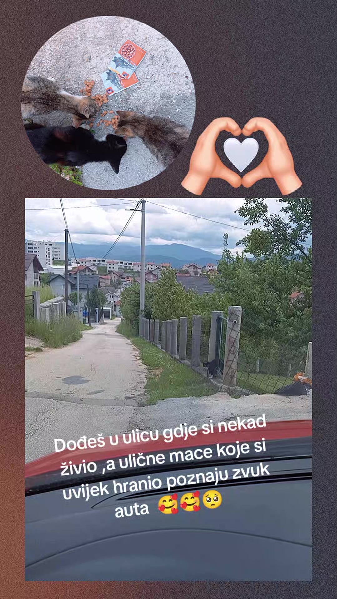 @Oko čamparasto 🌼