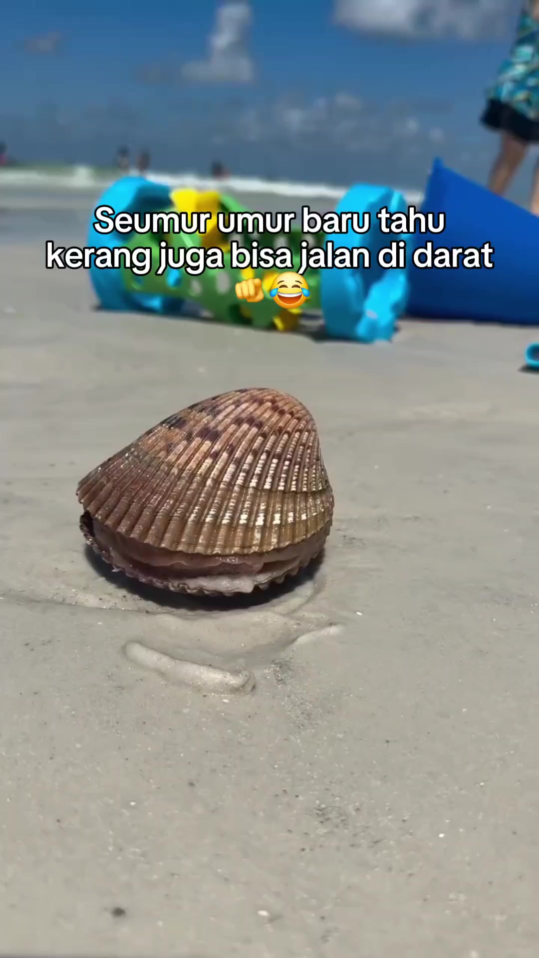 @Ardian Galih 🐜