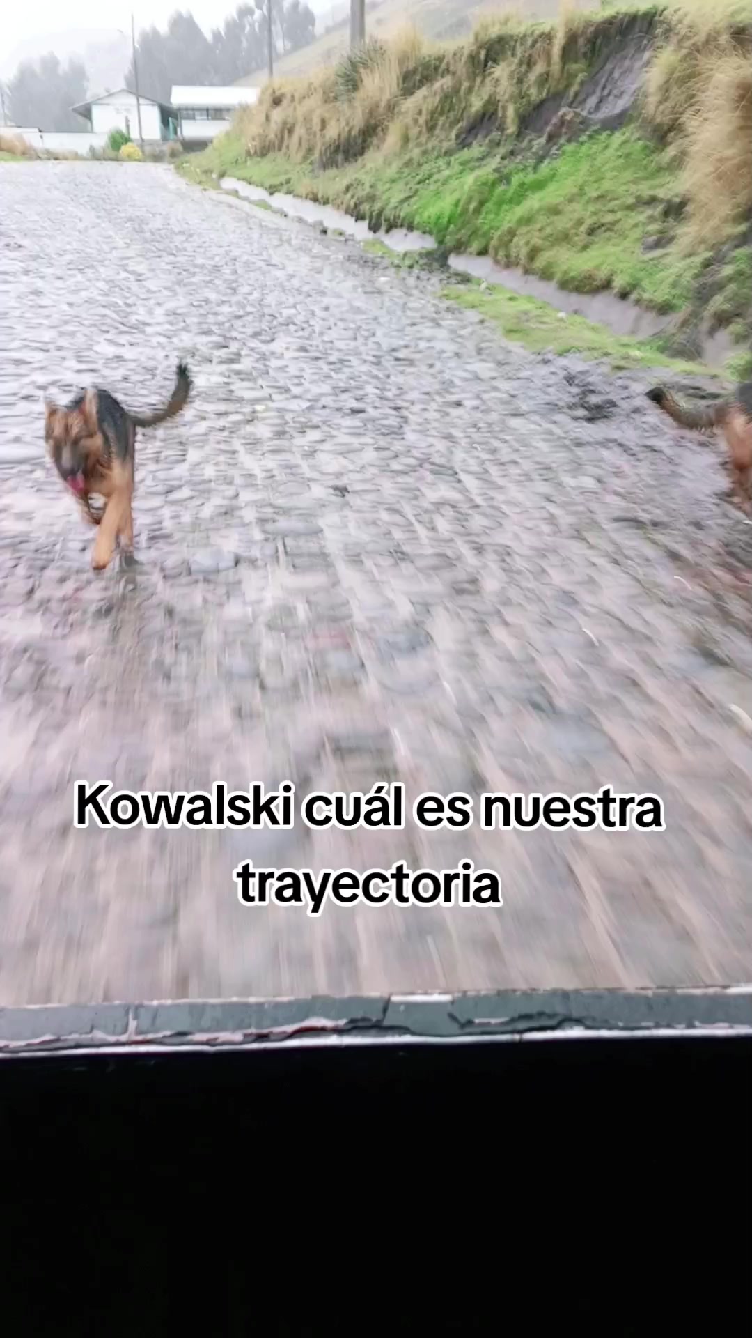 @Jéff UmájinGá