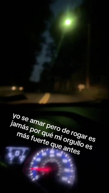 @chimborazo luis 593🇪🇨