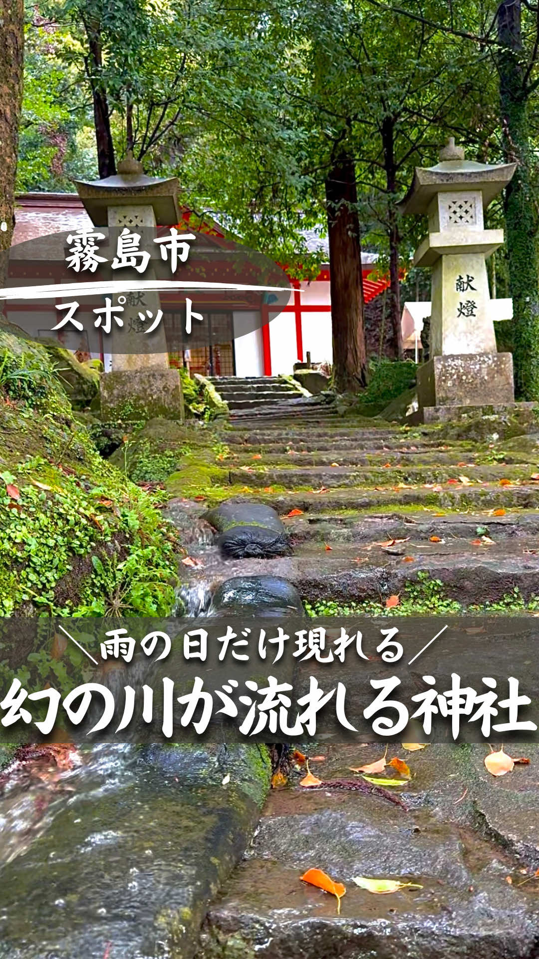 @ポポの休日🌿鹿児島&九州旅🐕