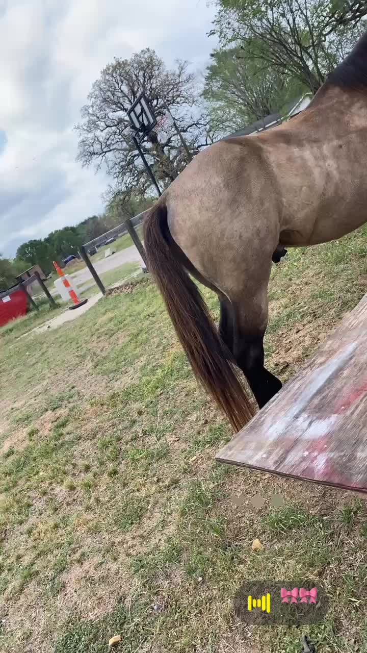 @._Shaniicole._