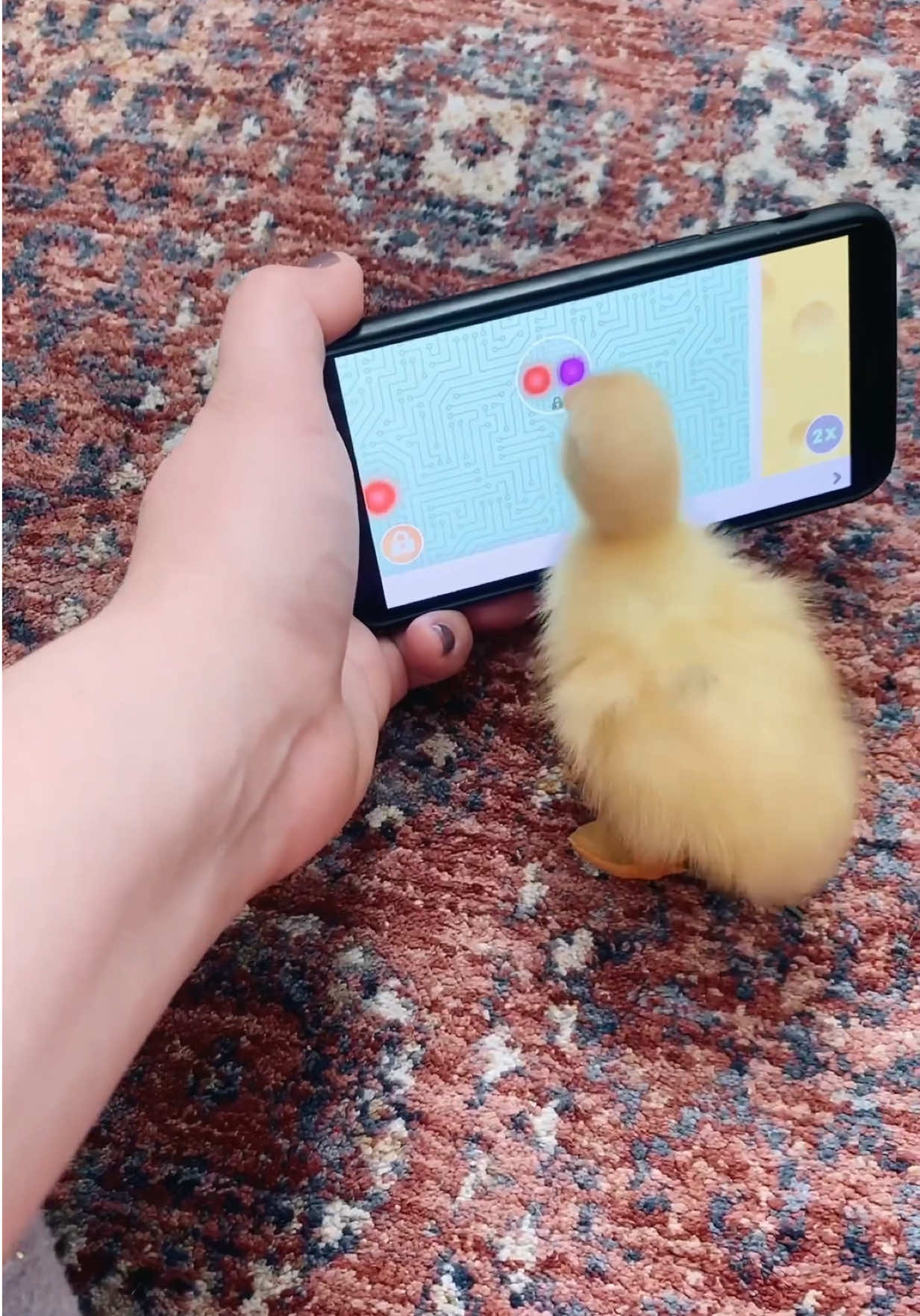 @ducks_in_space🪿🪿💦