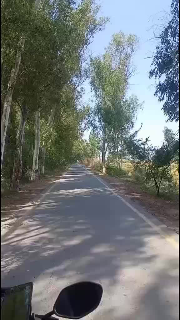 @Qasim