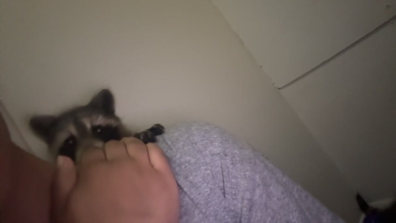 @MixedDepoBabi