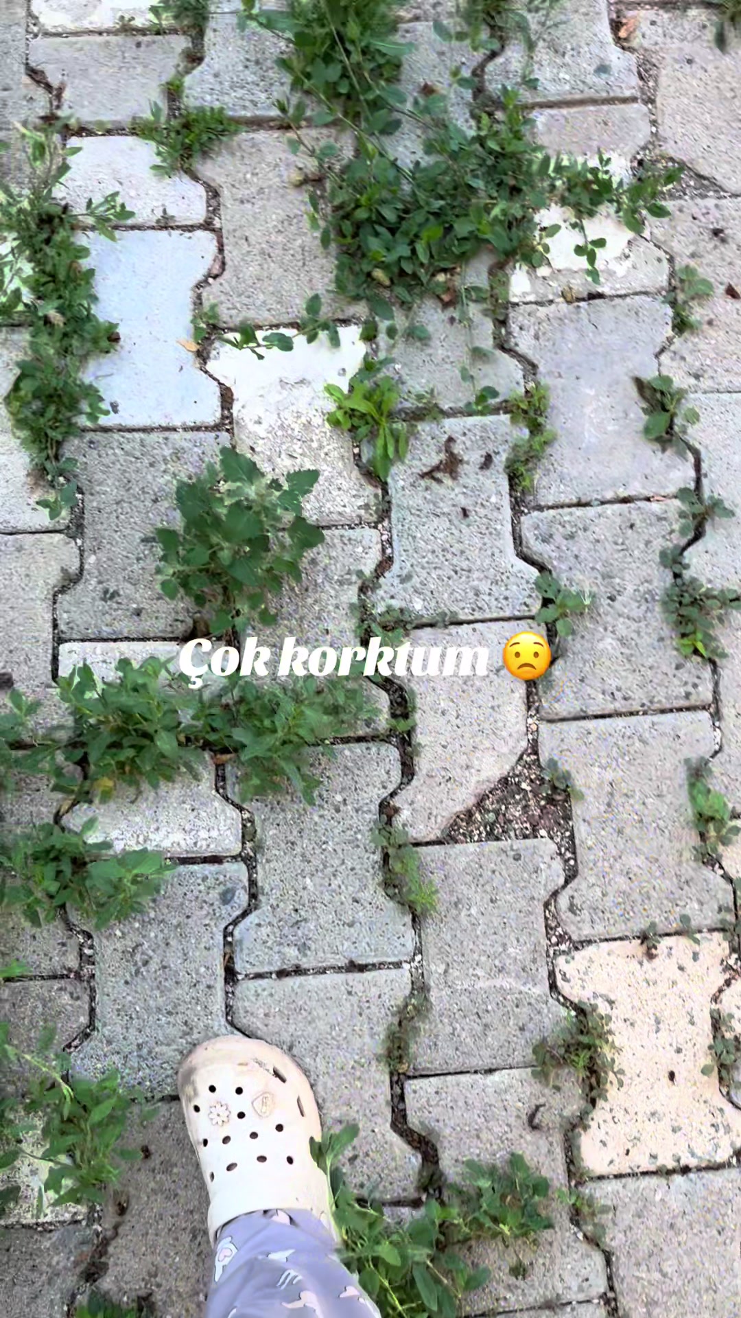 @S