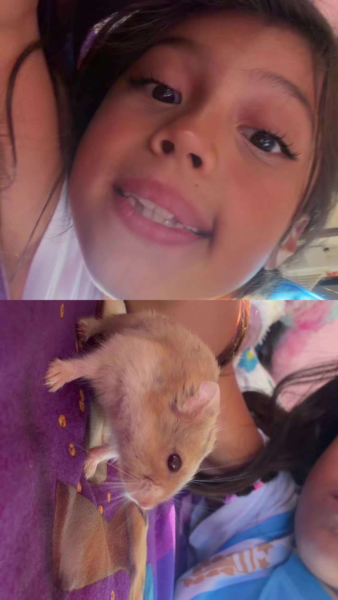 @cataleyalemus