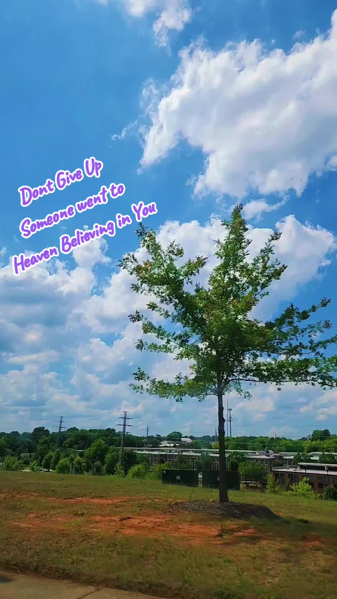 @✨️💕Chantel 💕✨️