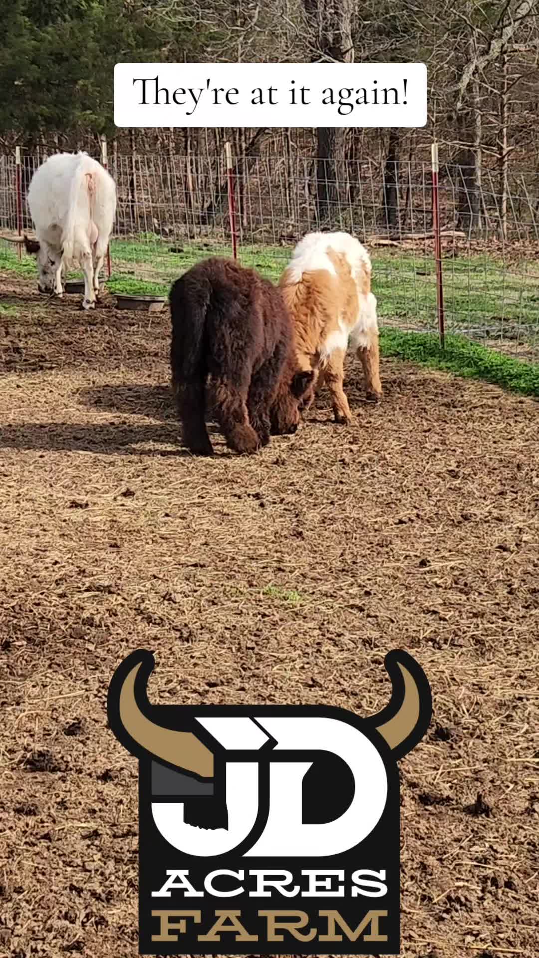 @JD Acres Farm