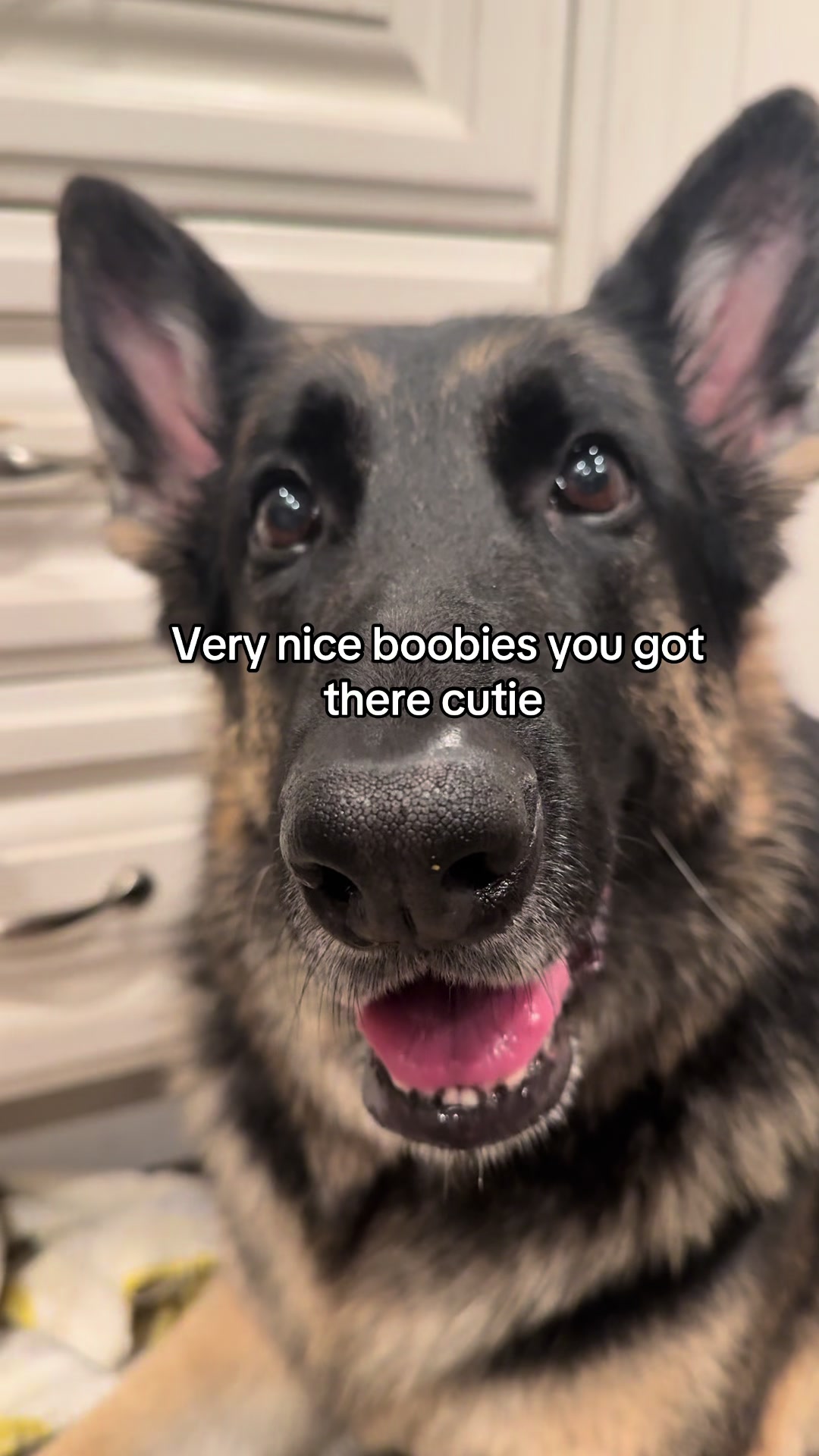@Bhris