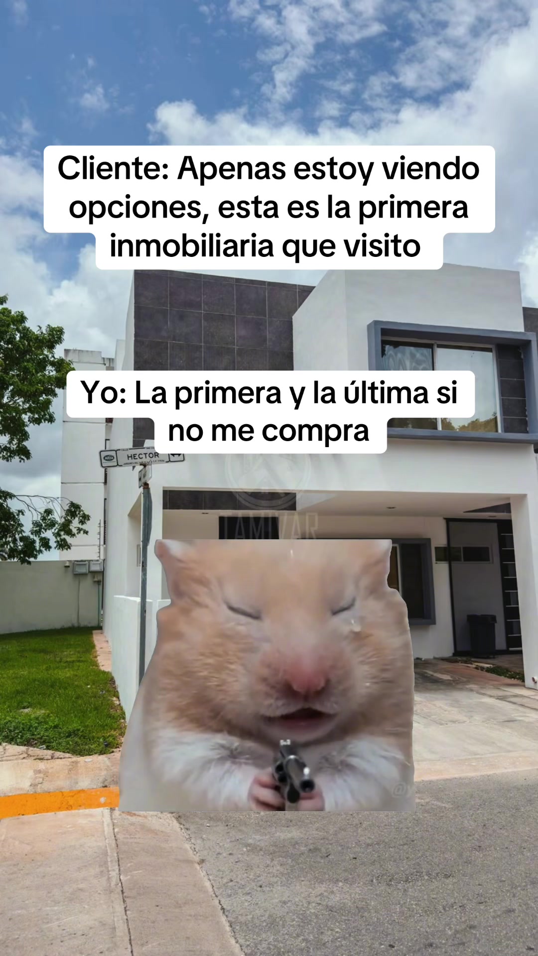 @Tamivar | Inmobiliaria