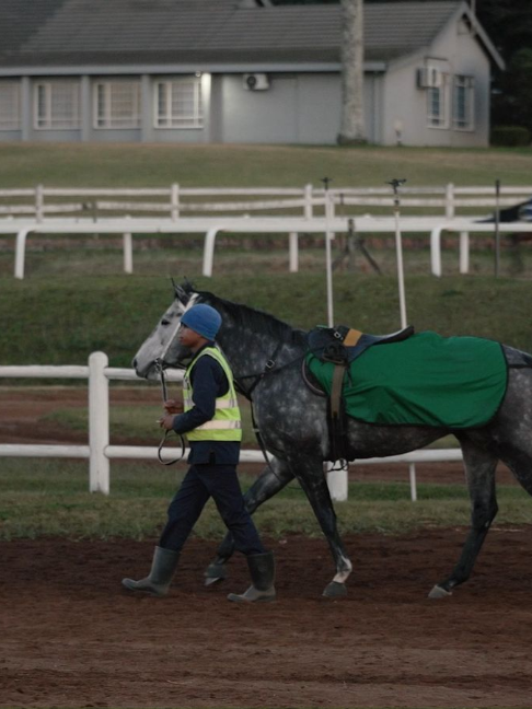 @Gallop TV