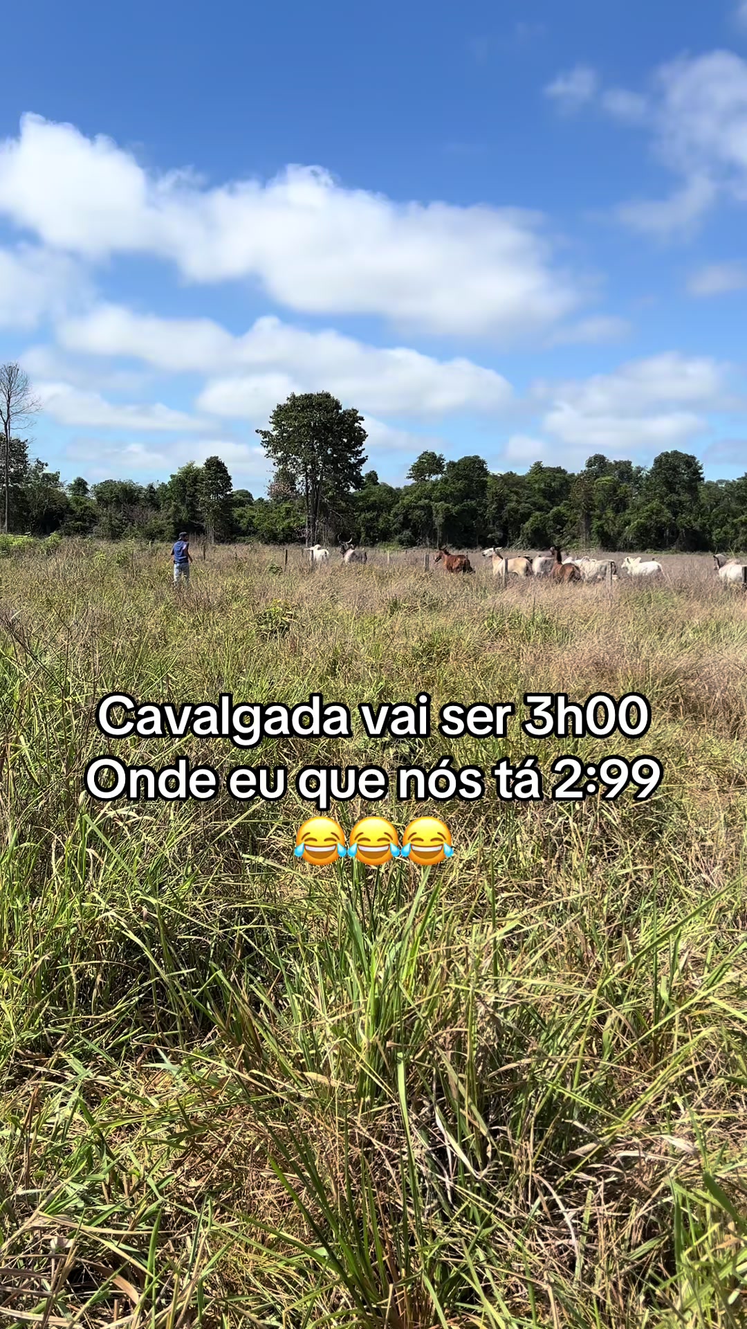 @Espeto003