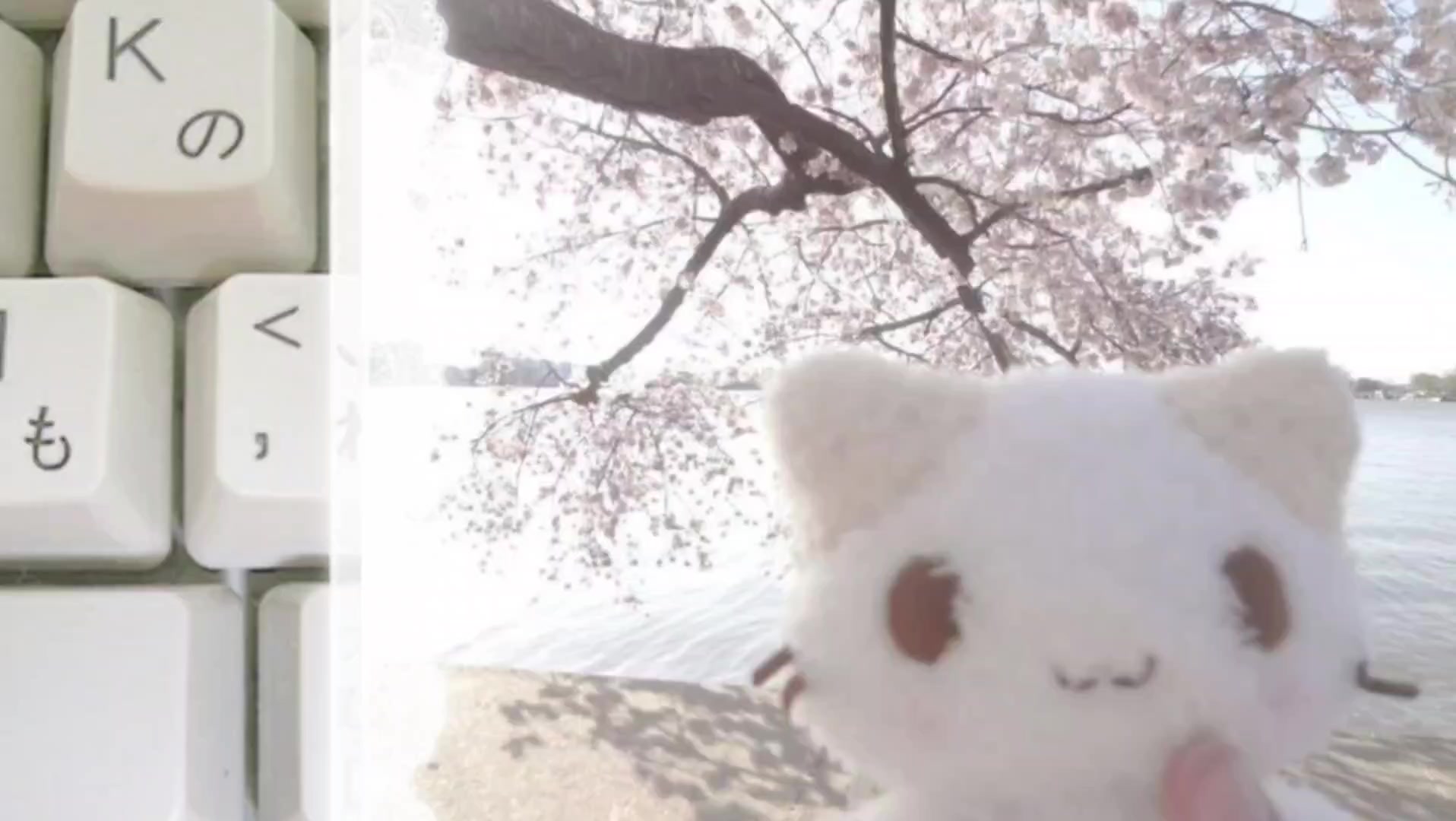 @🐾┆ⱢѦƝ&Delta;&frac12;ᵃⁿᵈₒₙₑ⏤͟͟͞͞&rarr;🪐☆⋆｡𖦹&deg;‧★