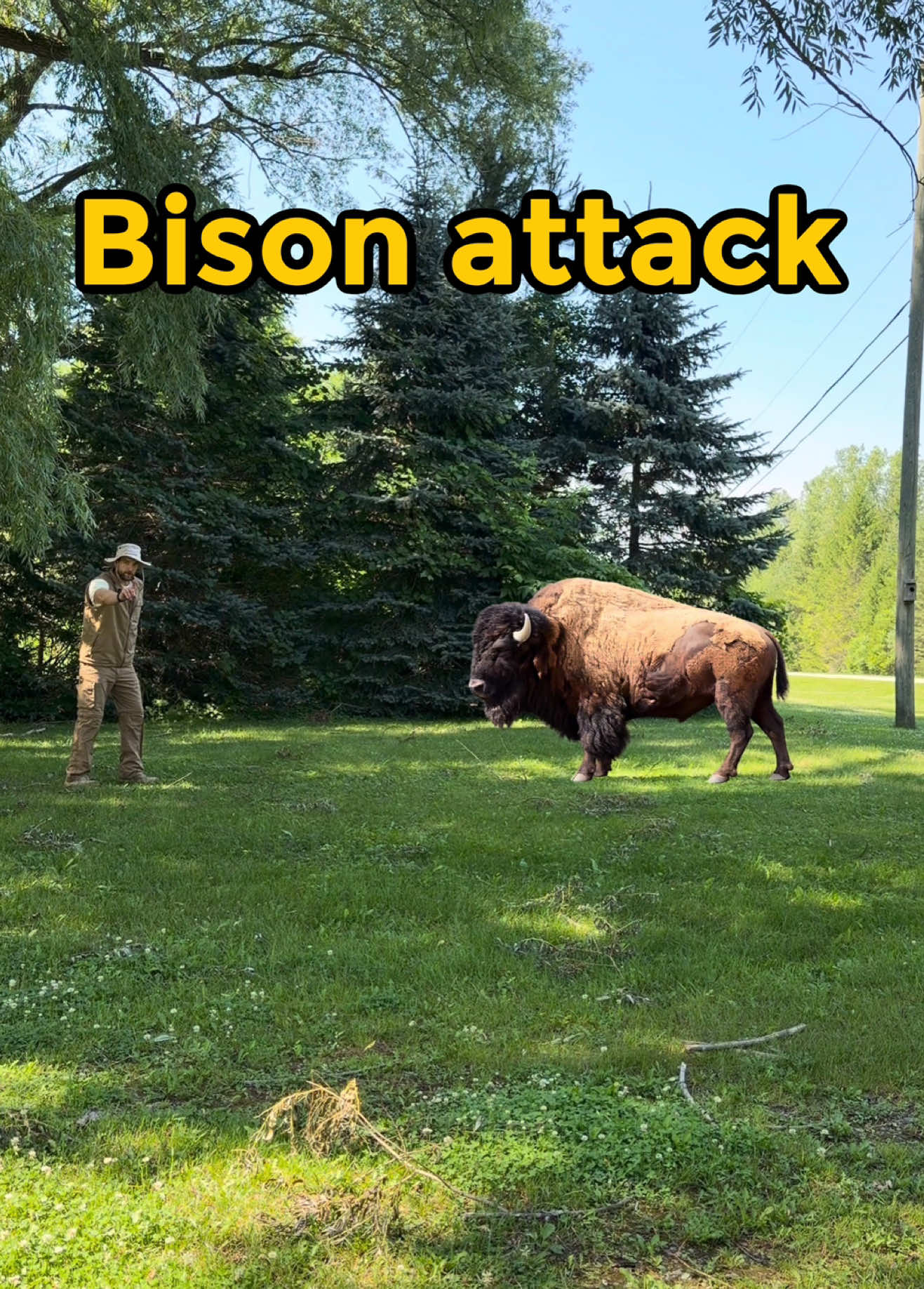 @Emperor Dijon