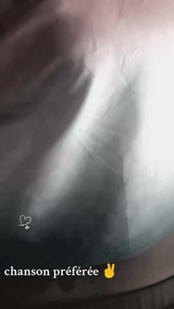 @user10431795454
