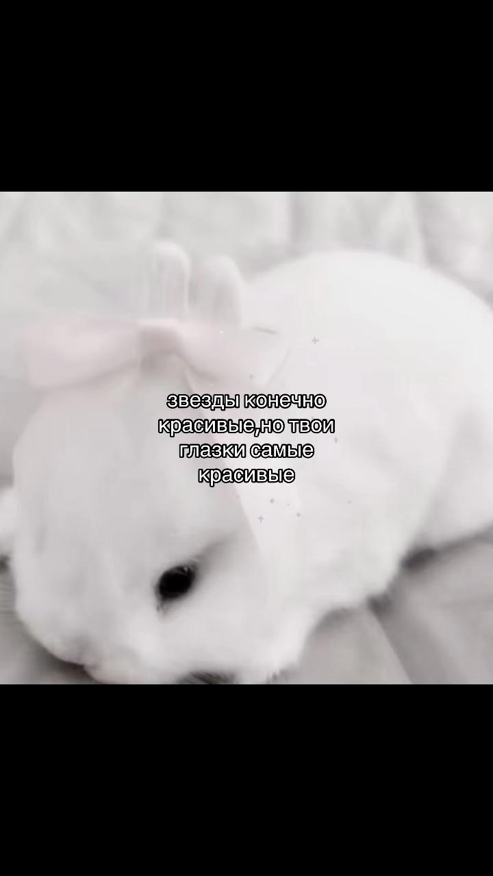 @݁˖𝜗ৎ ᥎ᥲᥒiᥣᥣᥲ‧˚꒰🐾୭ ˚