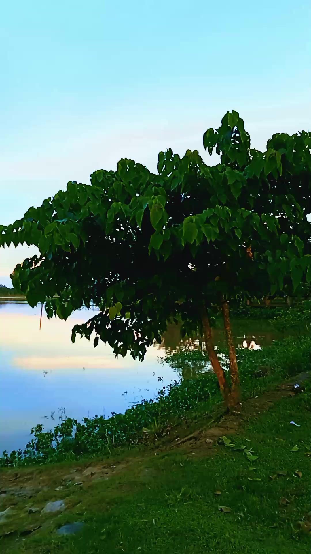 @🇧🦋~KAWSAR~🦋🇧