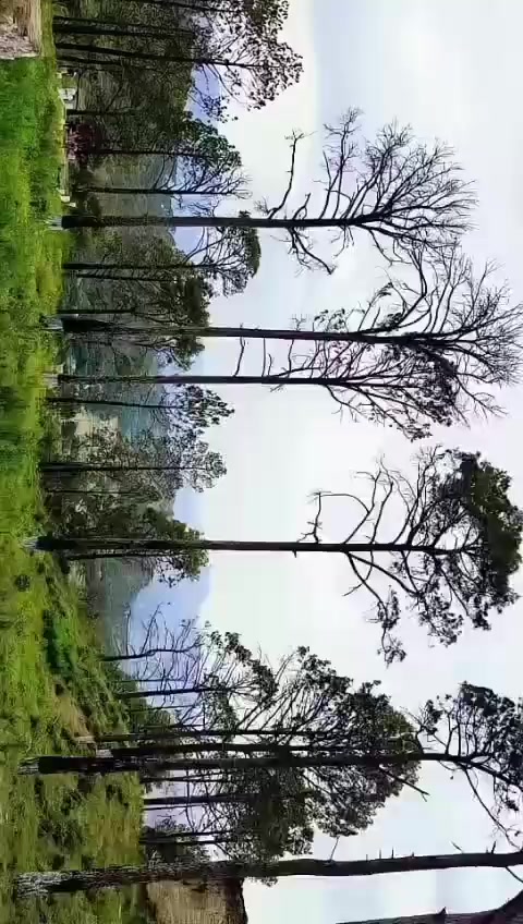 @♔𝐶̮̑ℎ̮̑ 𝑆̮̑𝑎̮̑𝑎̮̑𝑏̮̑➺
