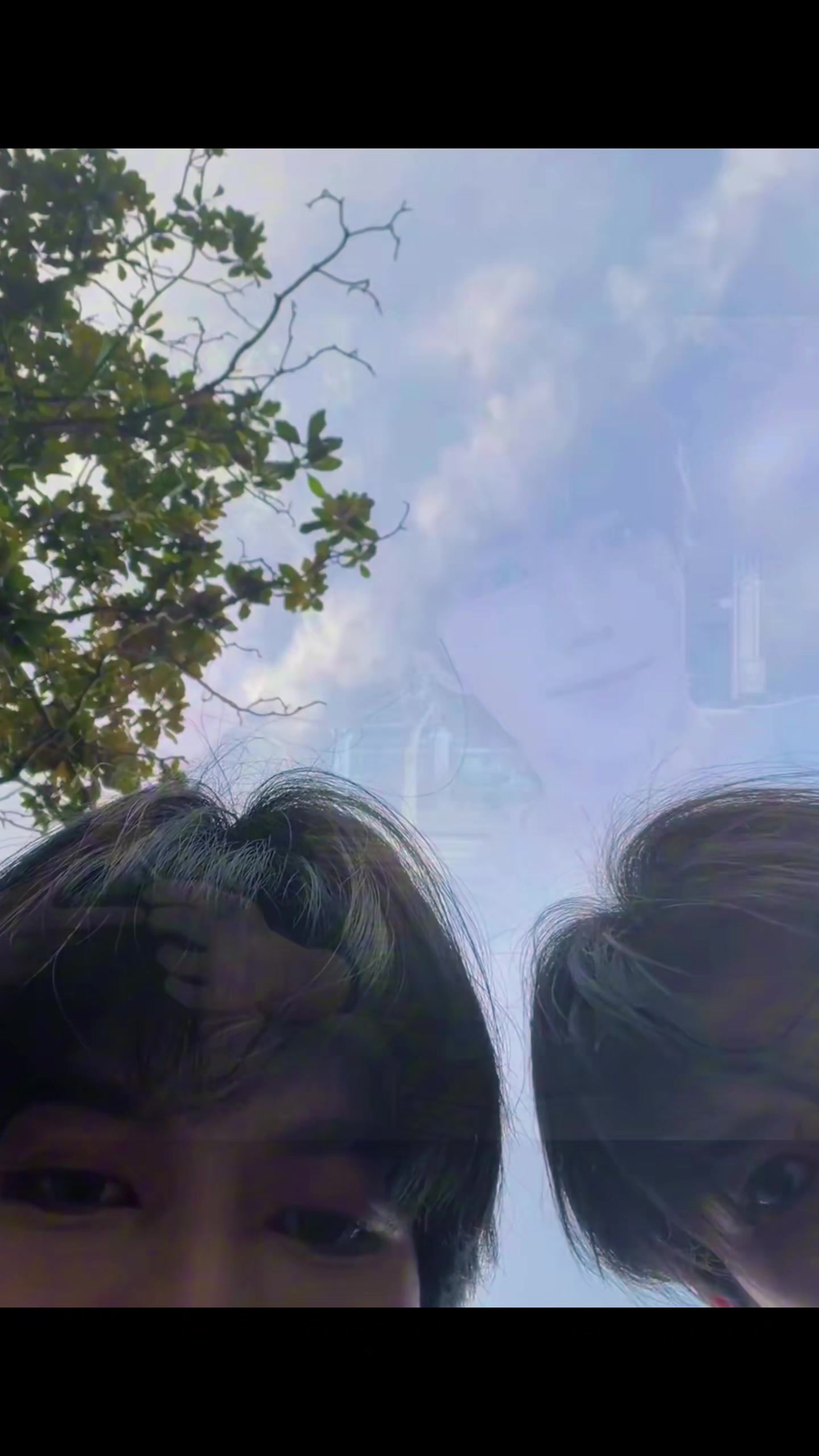 @XQiu🌟🍁