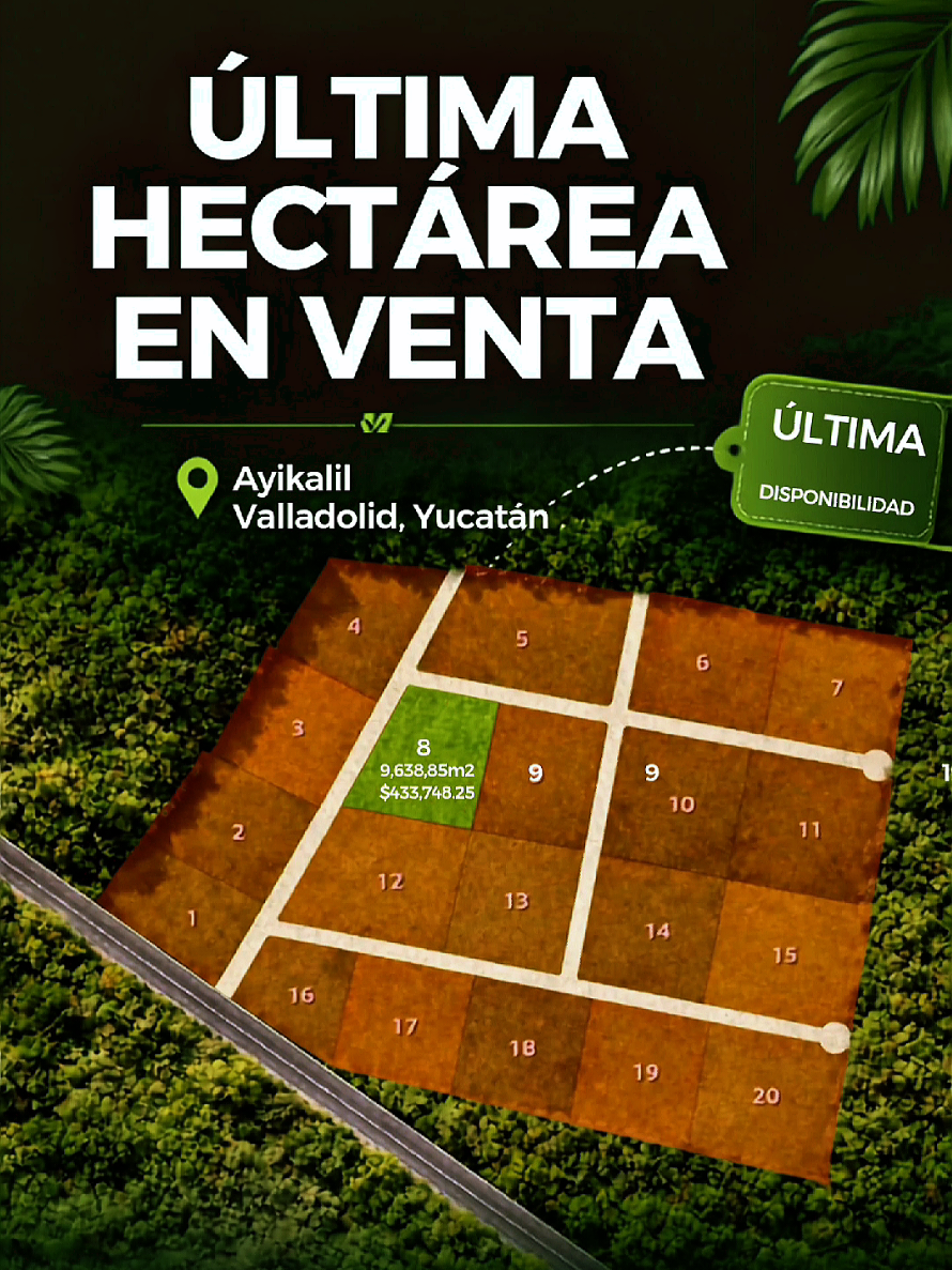 @Jose Chein - Bienes Raices