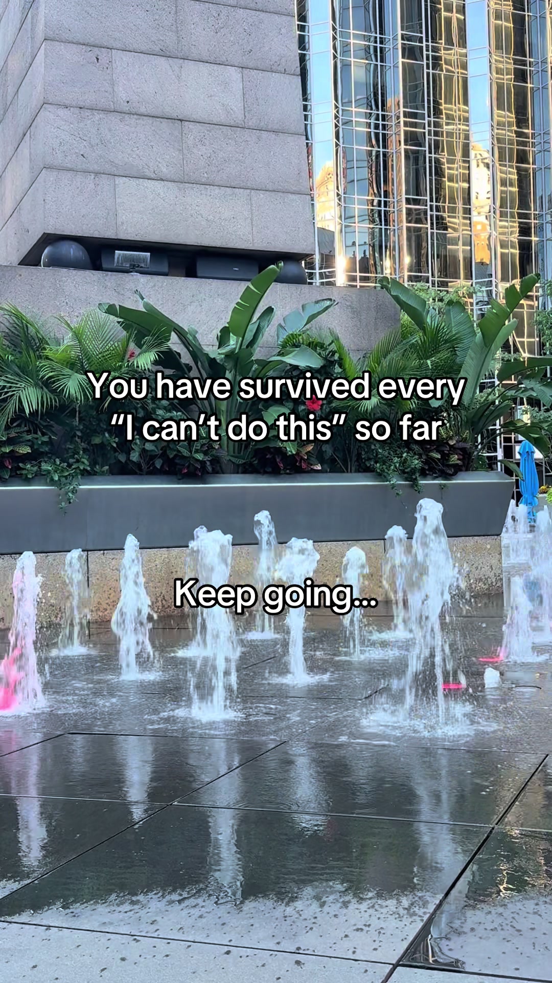 @🫶🏼𝕂𝕚𝕂𝕚🫶🏼