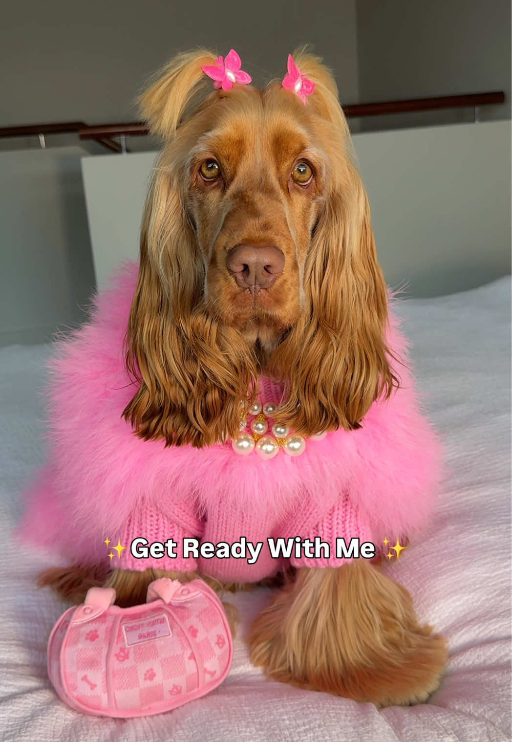 @Princess Penny 👑