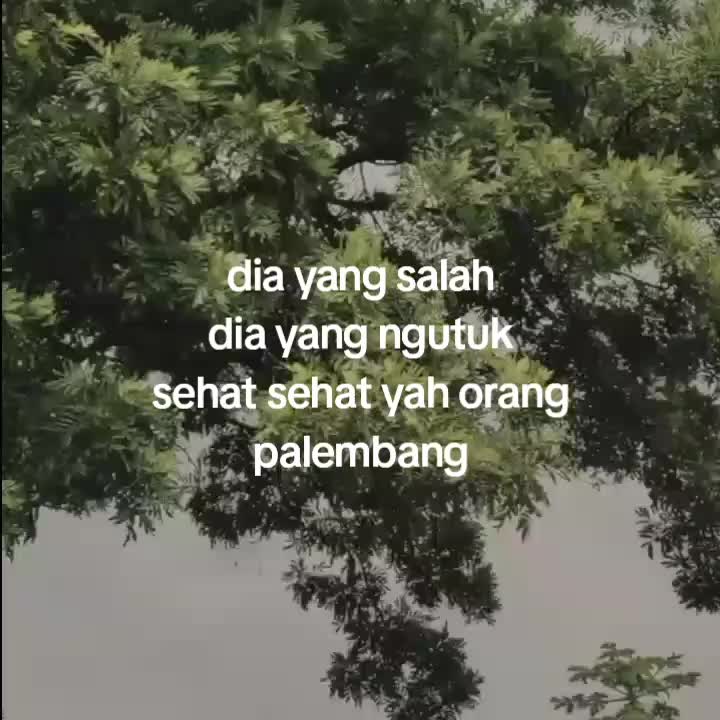 @goodvibez0