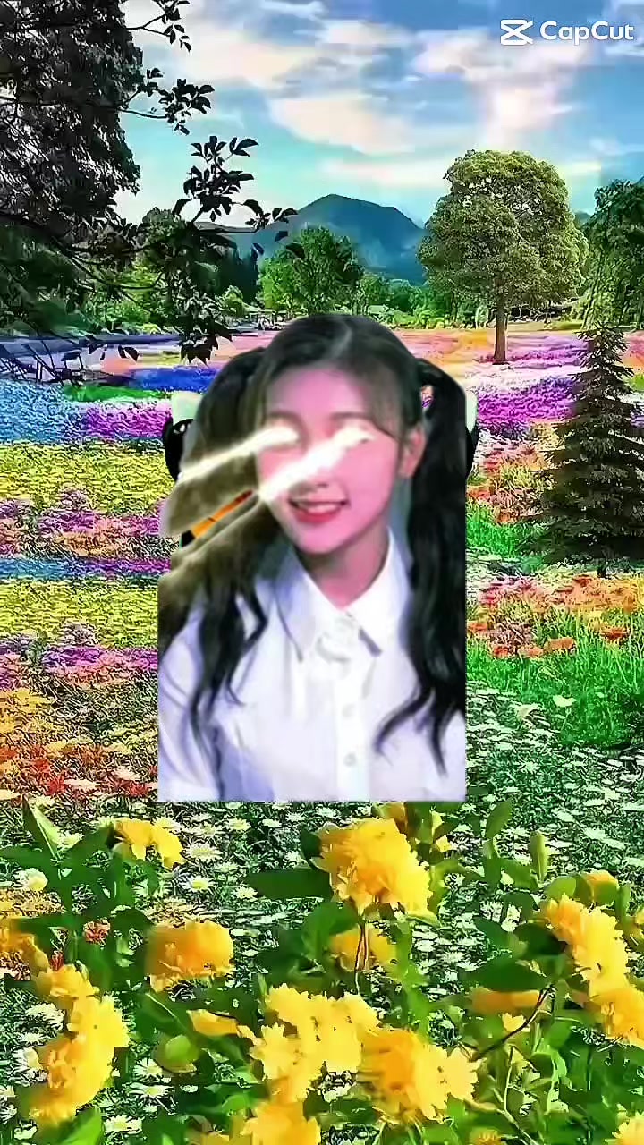@mini.loona_orbits