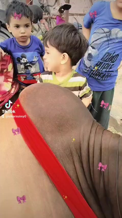 @💞حسن کی ملکہ 💞