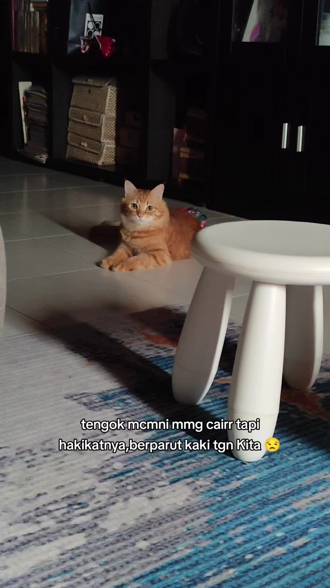 @Omma Kucing 🇲🇾🍉