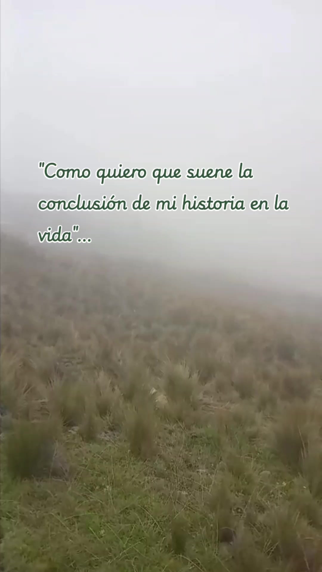 @WOLF-CIANA