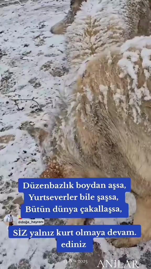 @doğa hayranı
