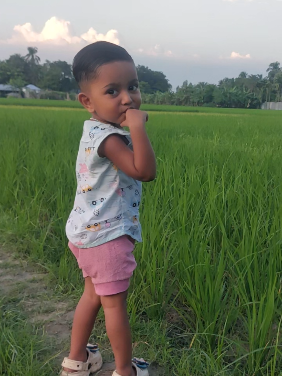 @সানজামুল ইসলাম সোয়াইব