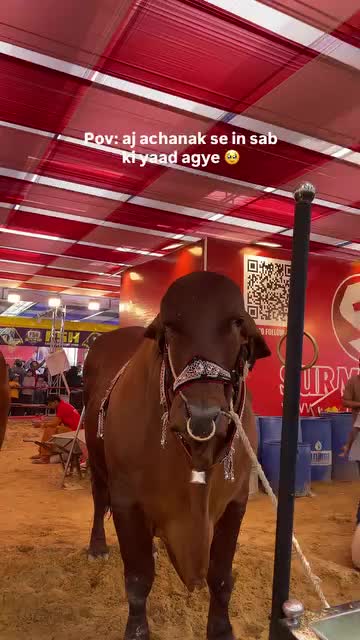 @HUZAIFA ✨