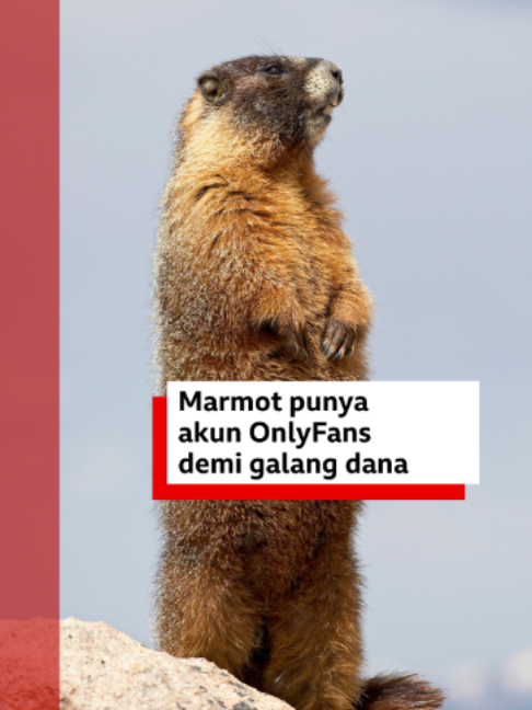 @bbcnewsindonesia