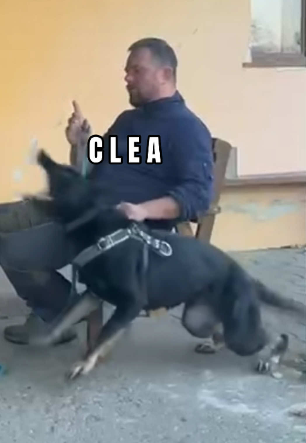 @True Guard K9 I Tara