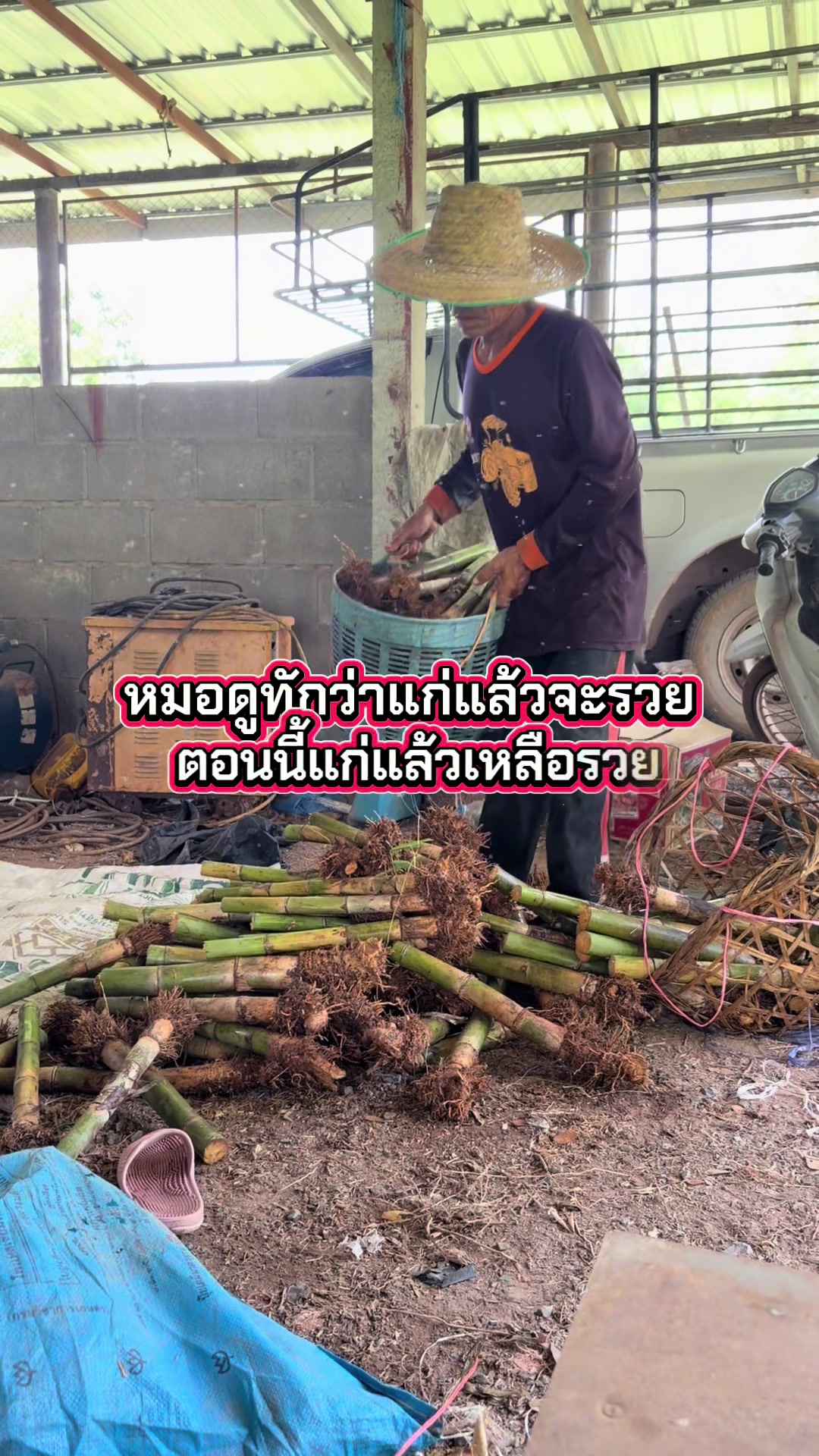 @นัดดาชอป