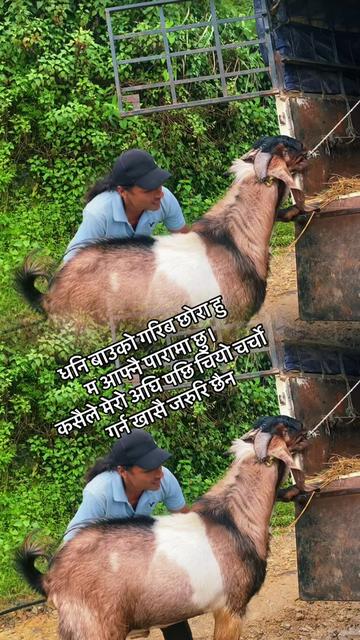 @jivan bhandari