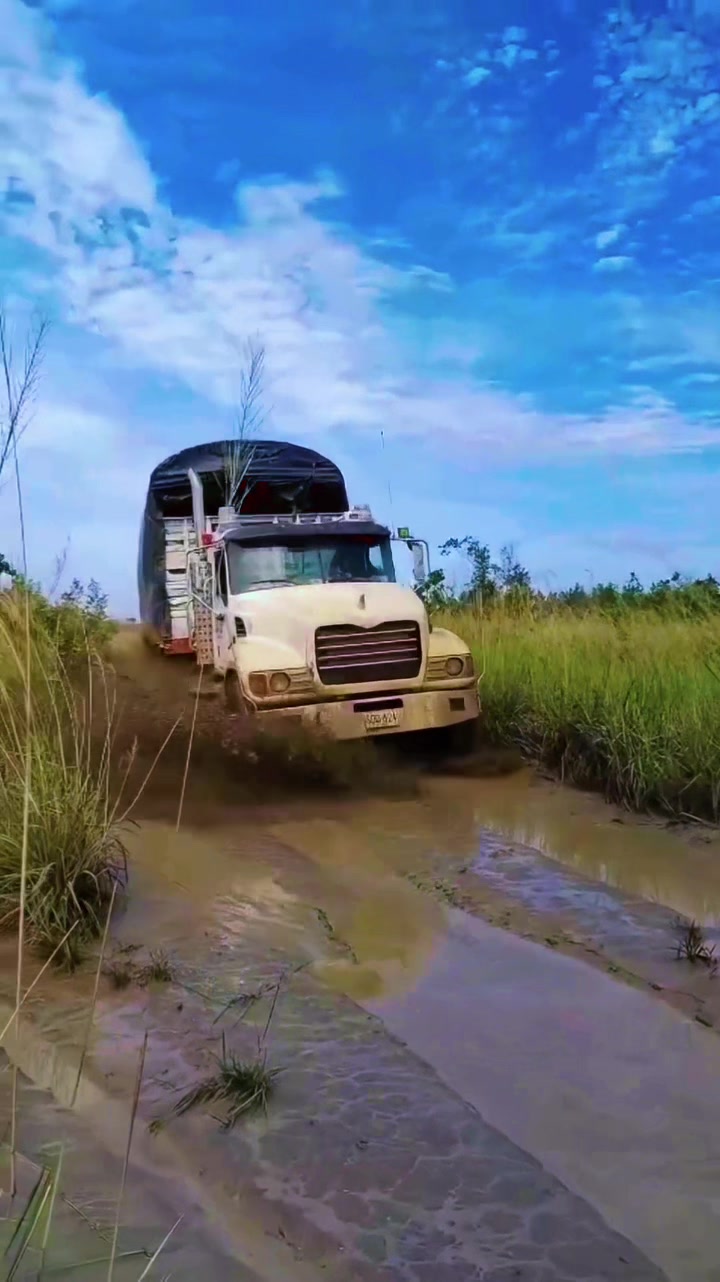 @Trocheros Trucks