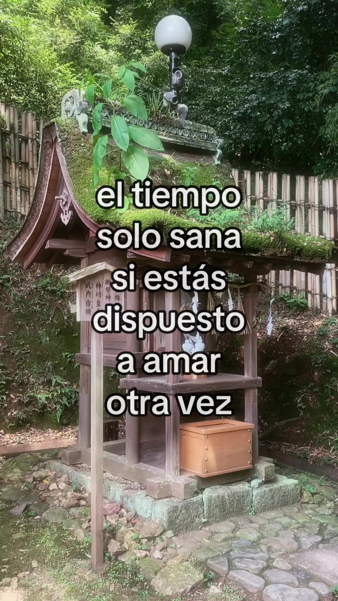 @CaracolArchives