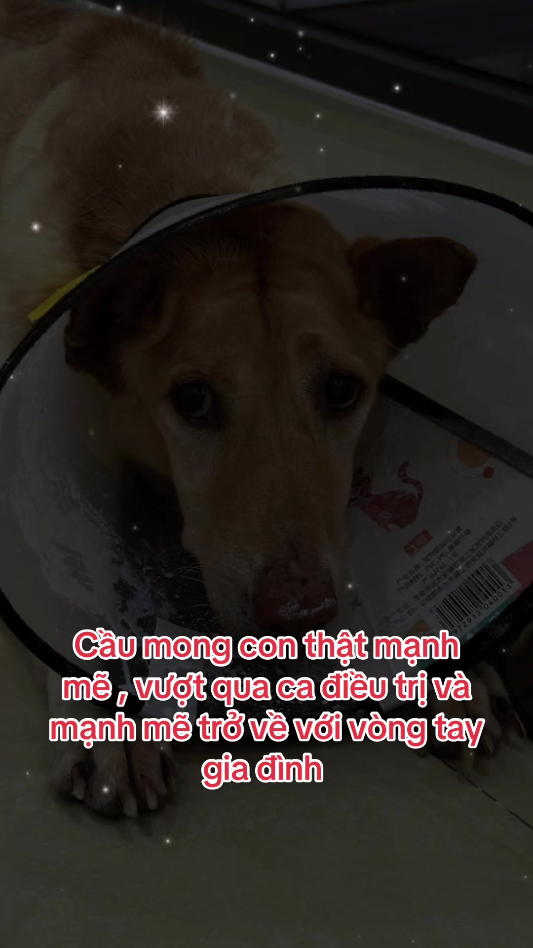 @yeuthuongchomeoba5