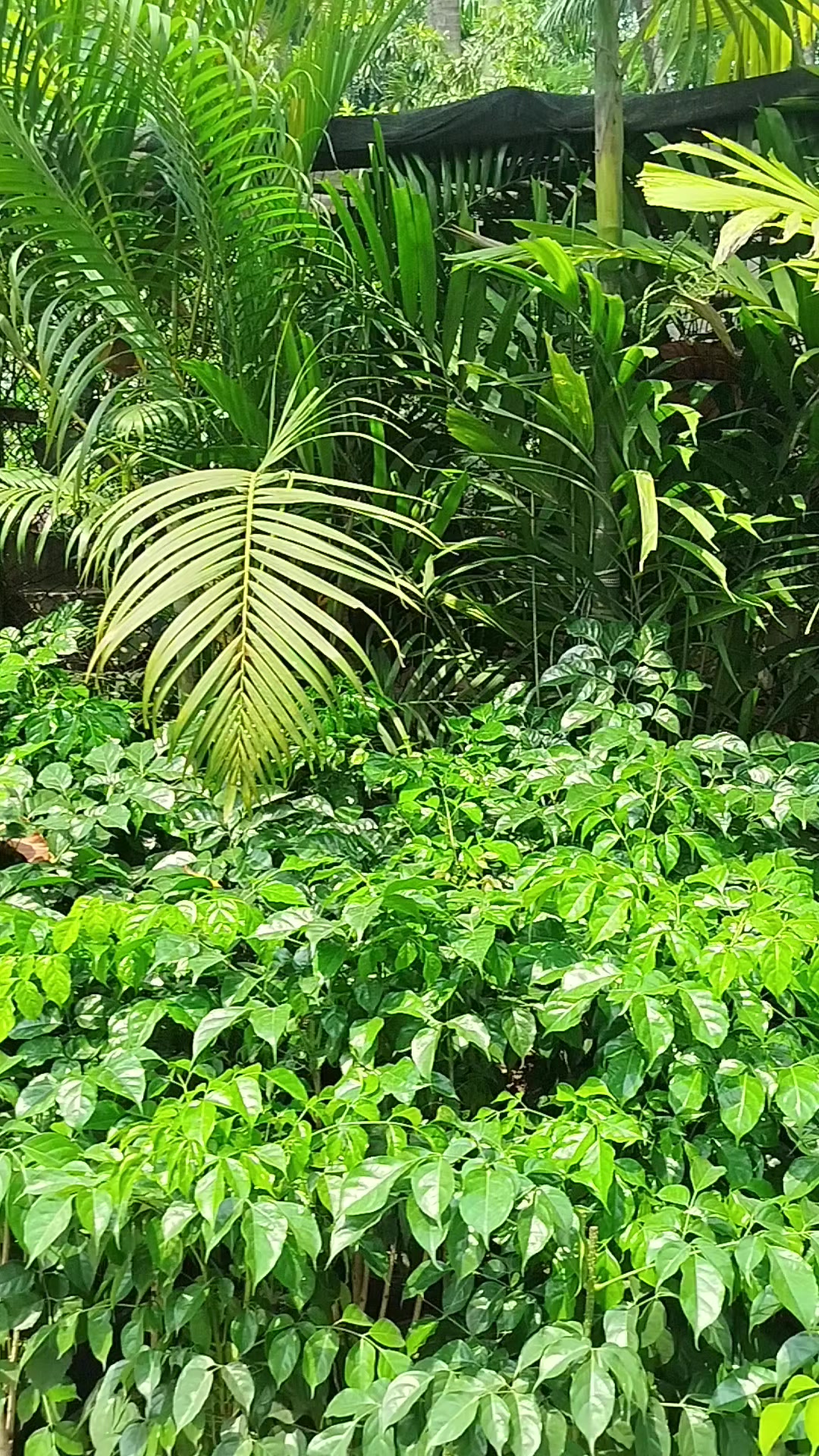 @ARRubel25