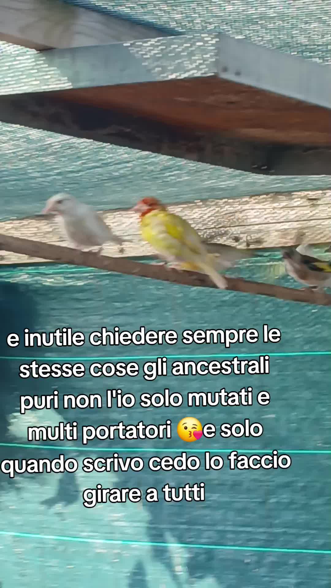 @Leonardo Dellacorte