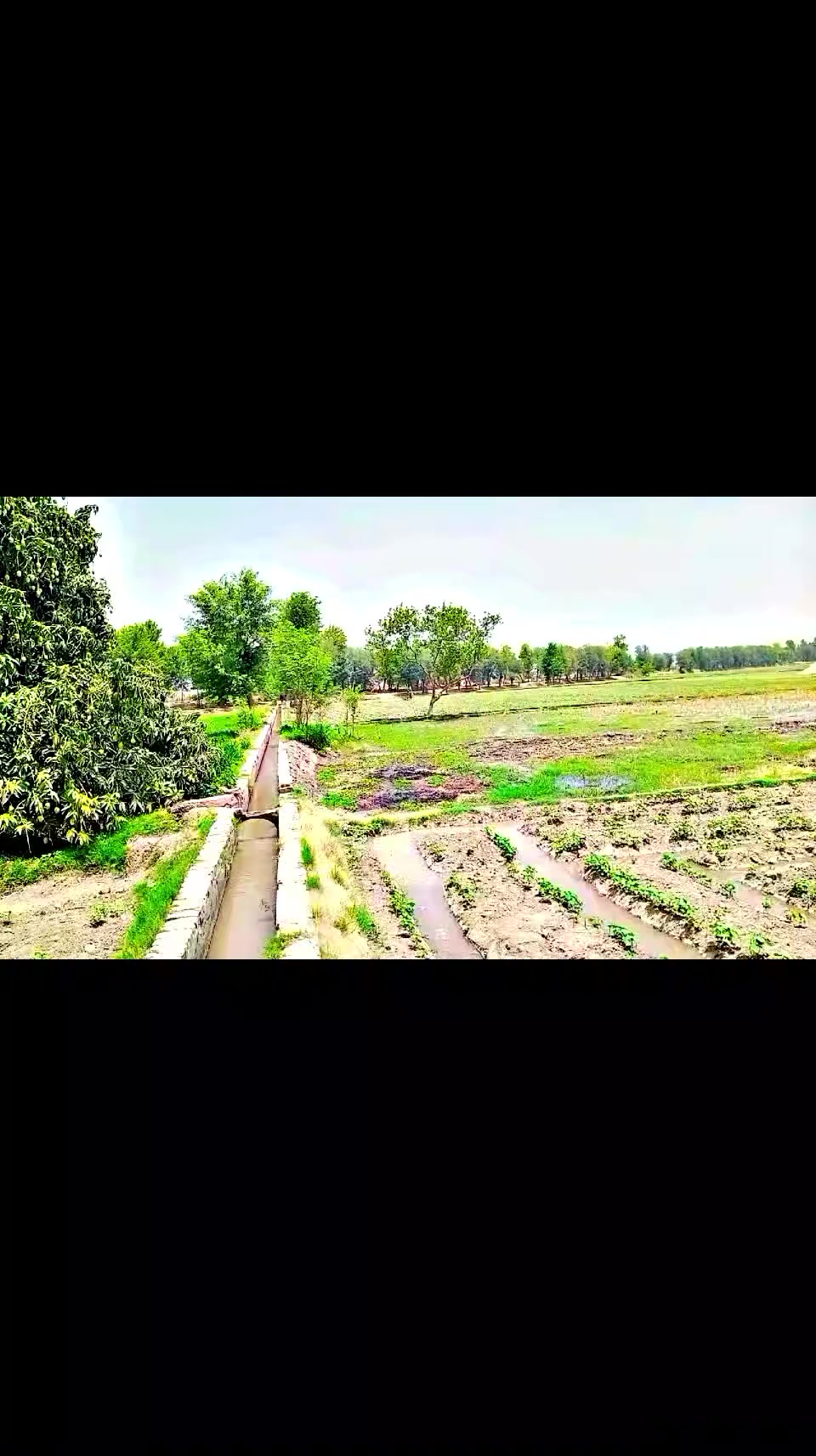 @Irtaza 267