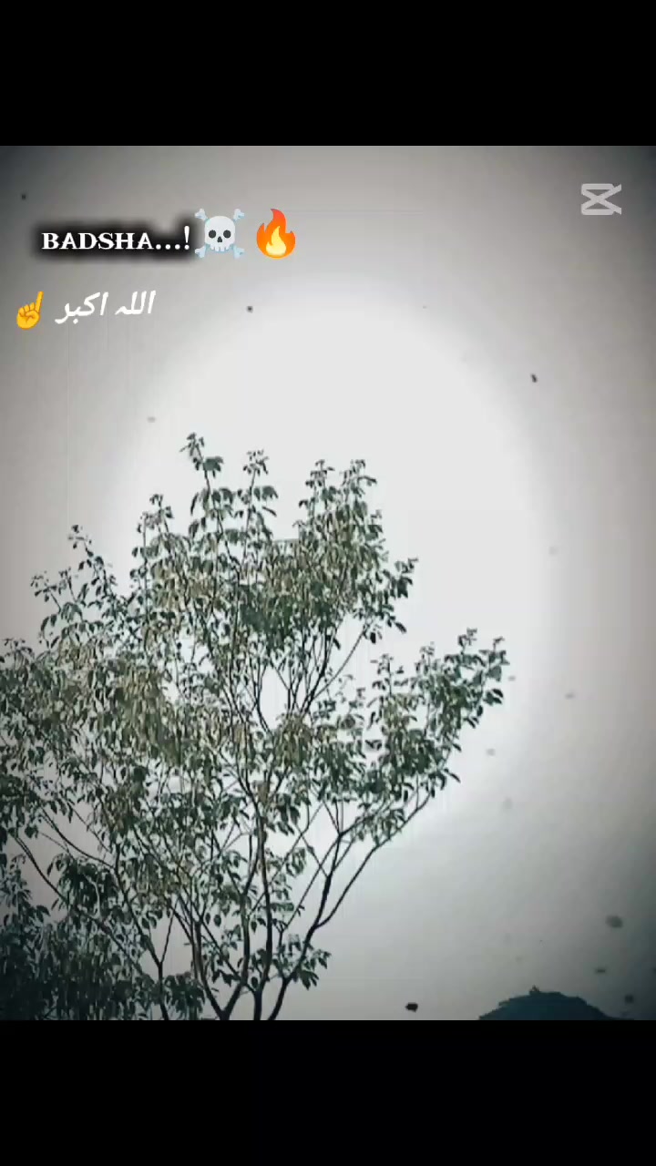 @✨it's Qadeer یارباش🔥