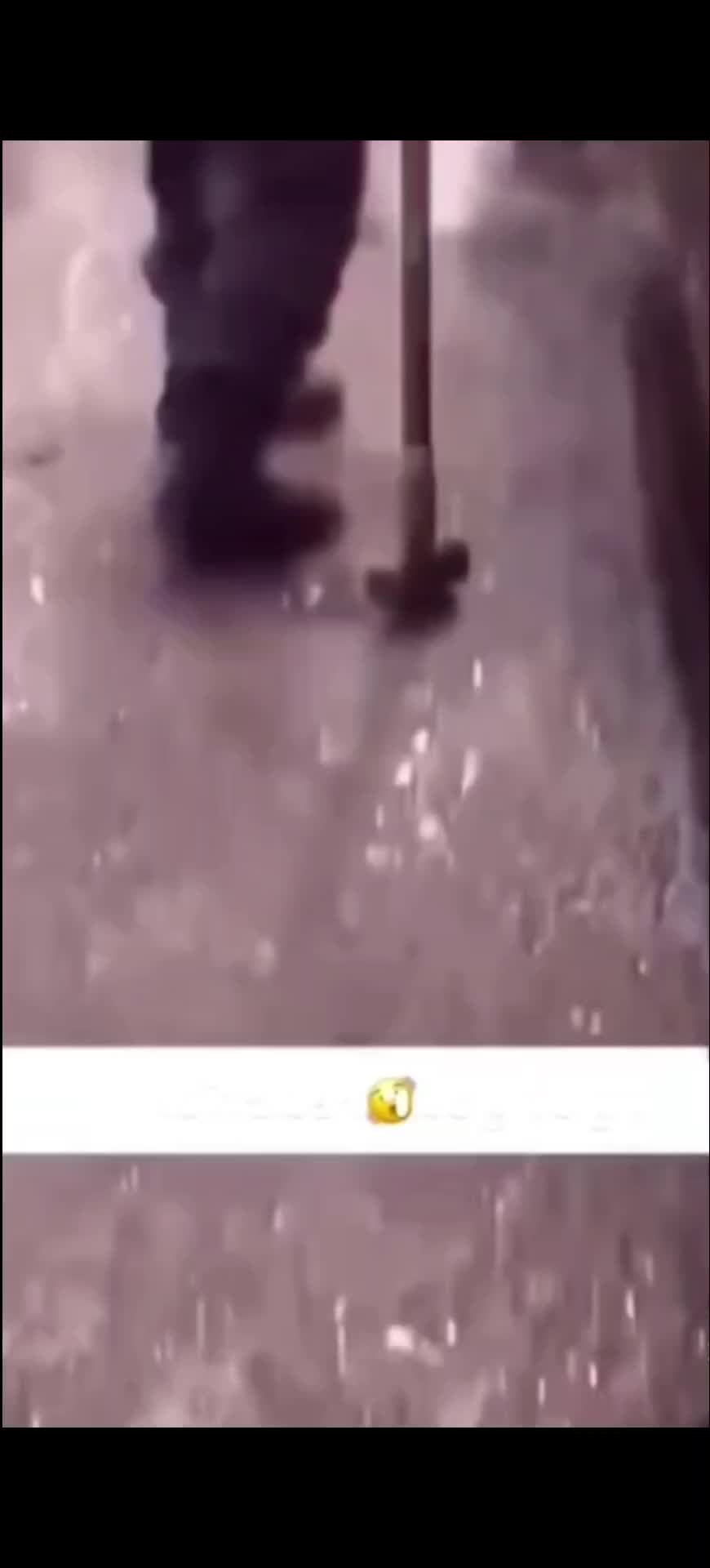 @punetnet