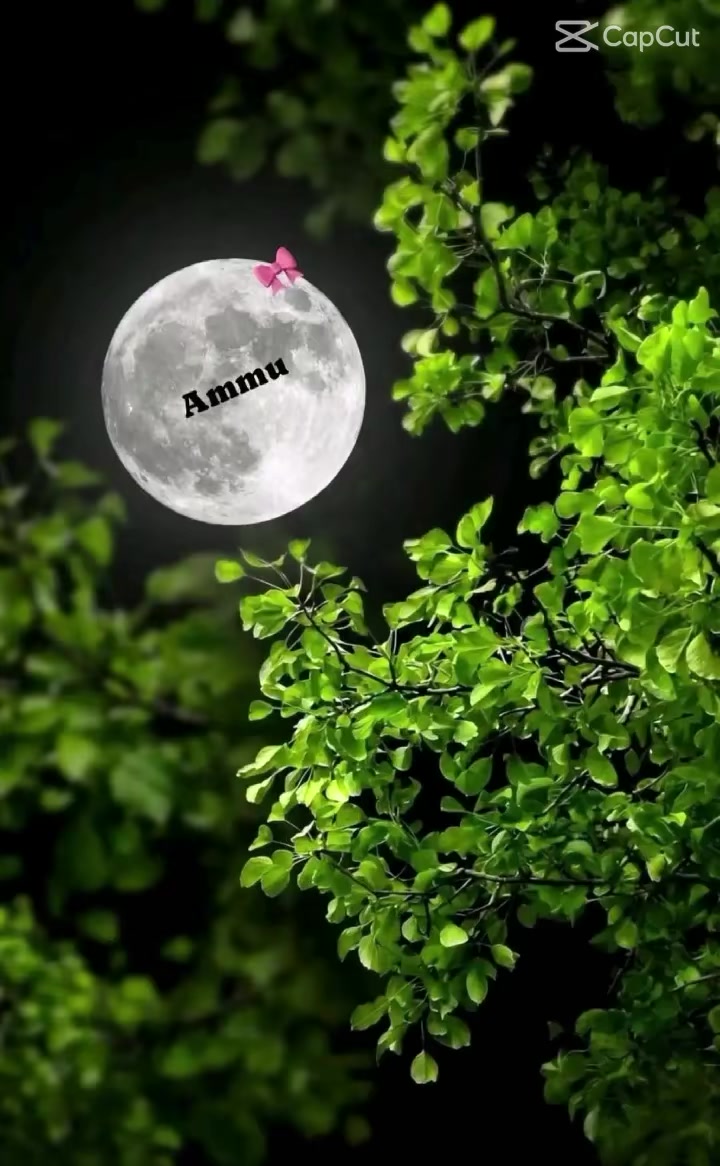 @🌸Muskan🌸