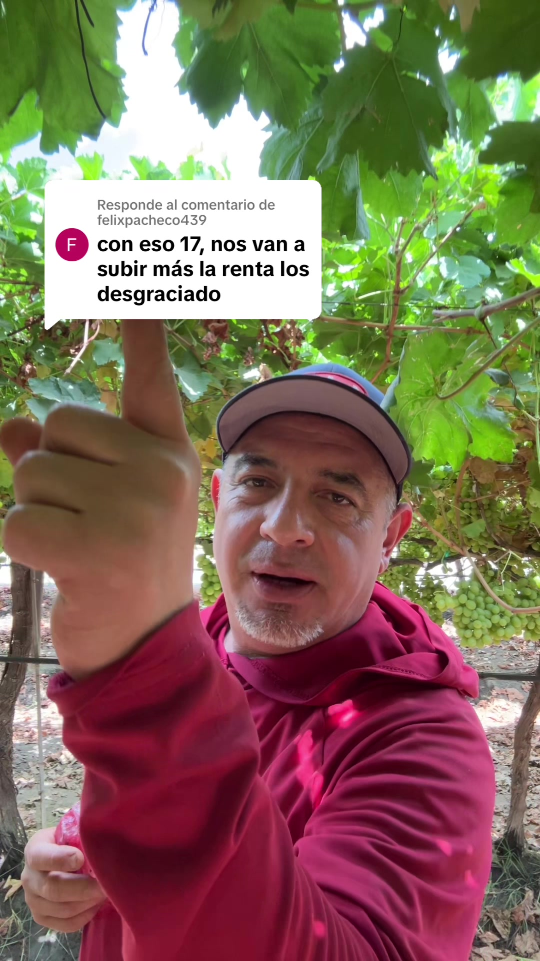 @Gustavo